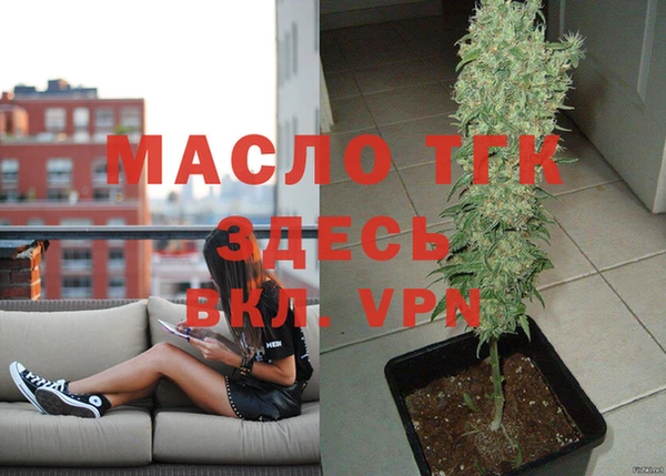 шишки Покачи