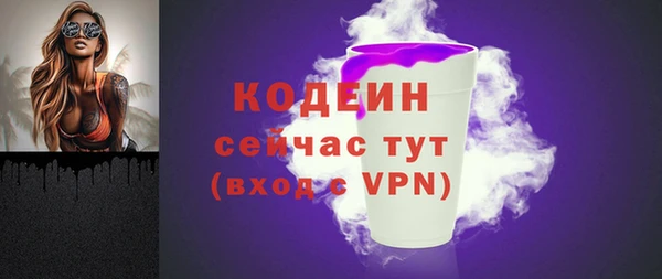 шишки Покачи