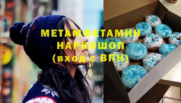 шишки Покачи