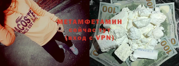 шишки Покачи