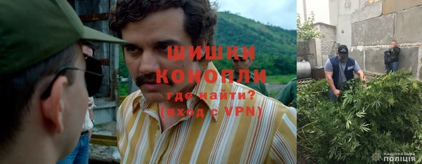шишки Покачи