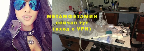 шишки Покачи