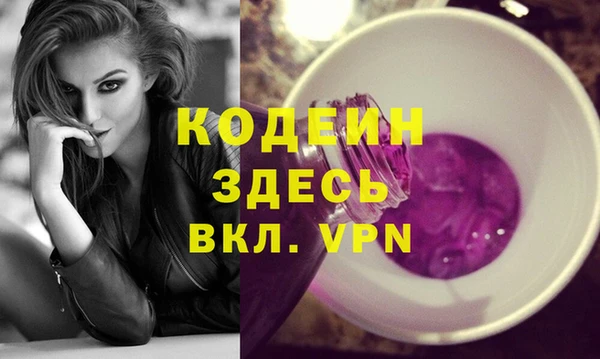 шишки Покачи