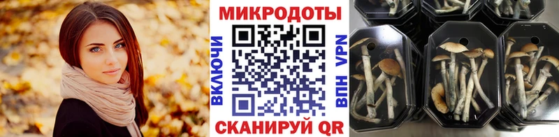 Галлюциногенные грибы ЛСД  Бабушкин 